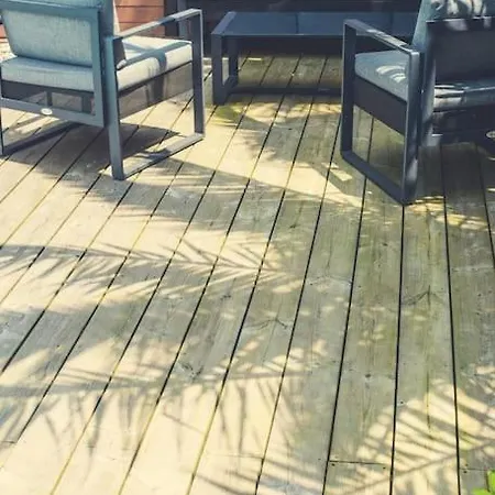 فيلة Proche Du Bassin -piscine