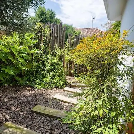 فيلة Proche Du Bassin -piscine *