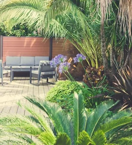 Proche Du Bassin -piscine